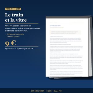 Fiche EMDR - Le train et la vitre - Métaphore clinique - Sylvie Filet Psychologue EMDR